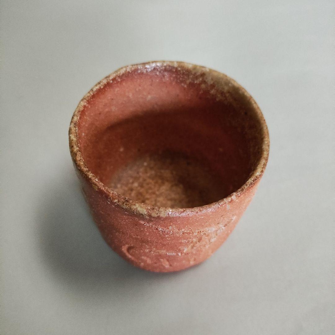 杉本貞光　寺垣外窯　信楽左馬徳利ぐい呑　信楽焼