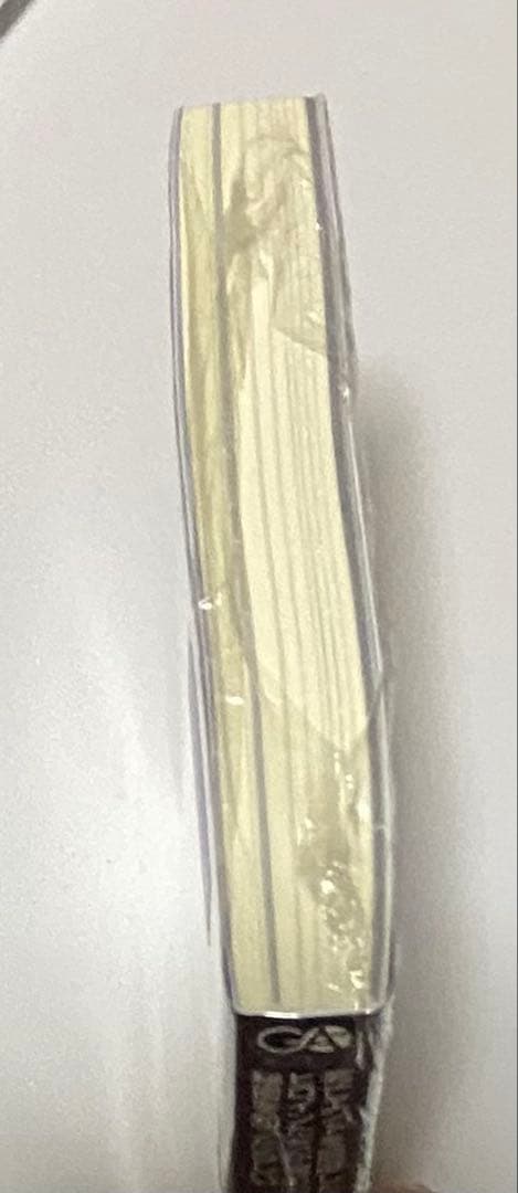 死亡エンドを回避したギャルゲーのヒロインたちが俺の日記帳を読んで秘密 ラノベ