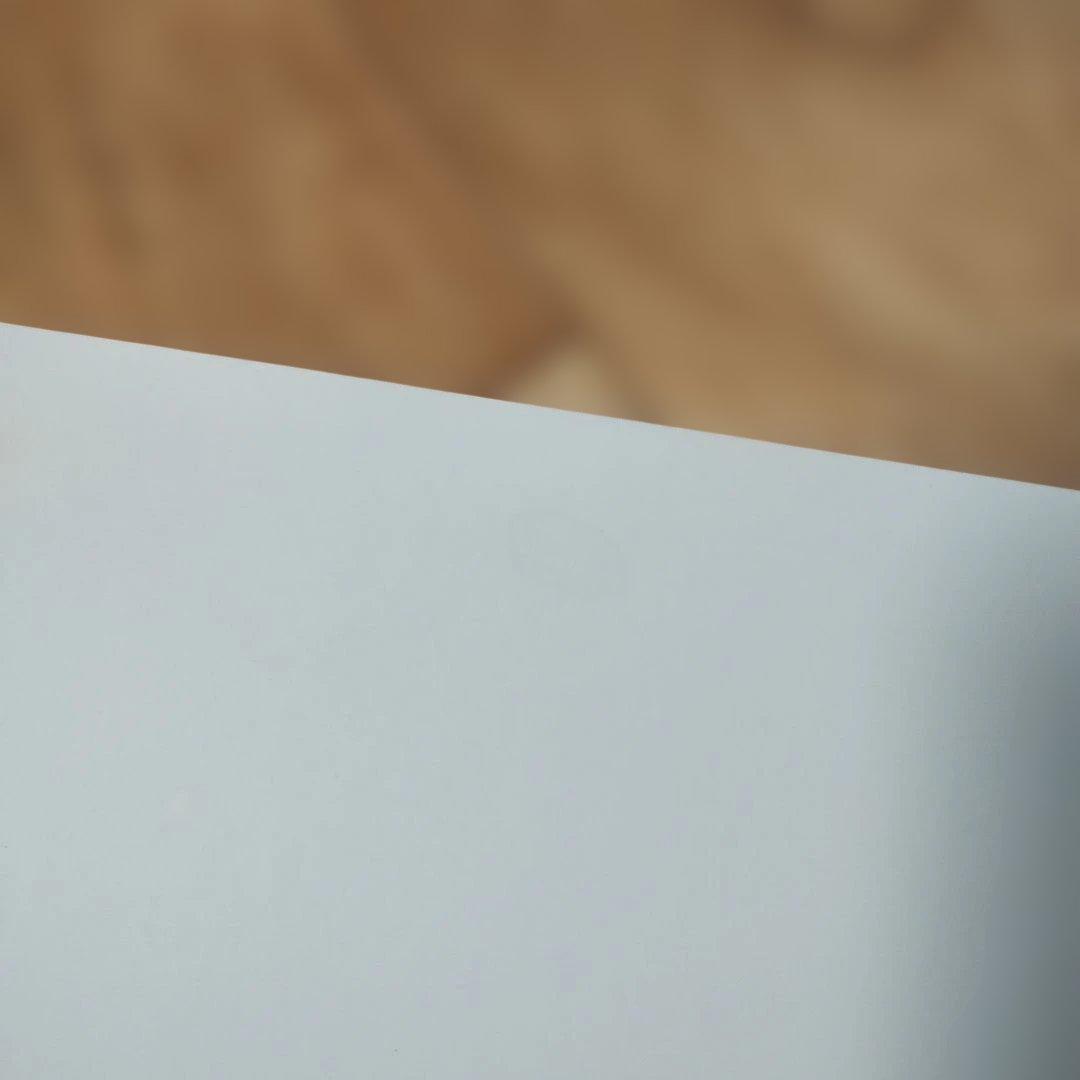 レオレオニの絵本セット　全２２巻　まとめ売り