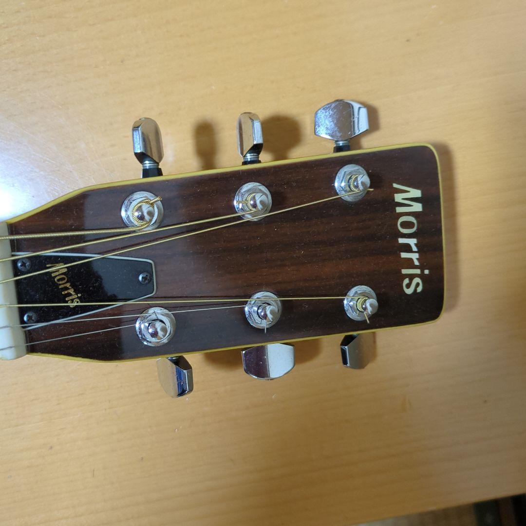 Morris アコースティックギター ドレッドノート エレア