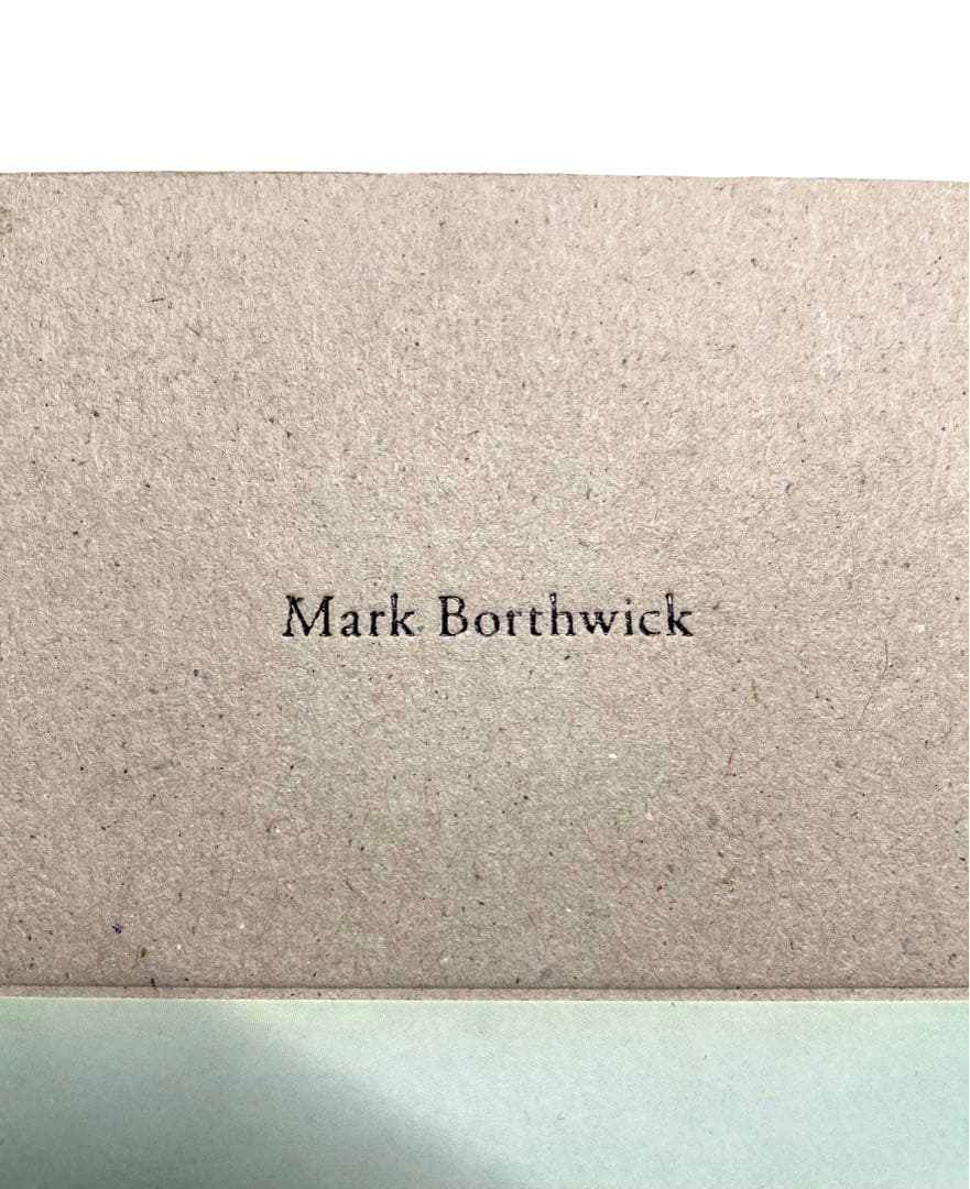 アート・デザイン・音楽 Mark Borthwick: not in fashion