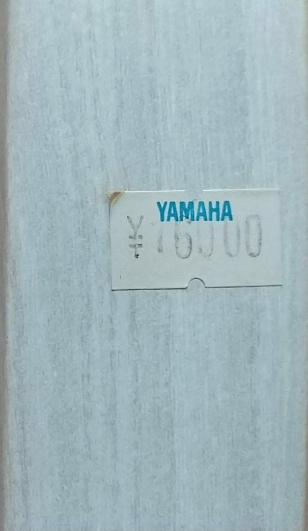 【送料無料・期間限定】バイオリン（4/4 大人用）弓２本　初心者レッスンブック