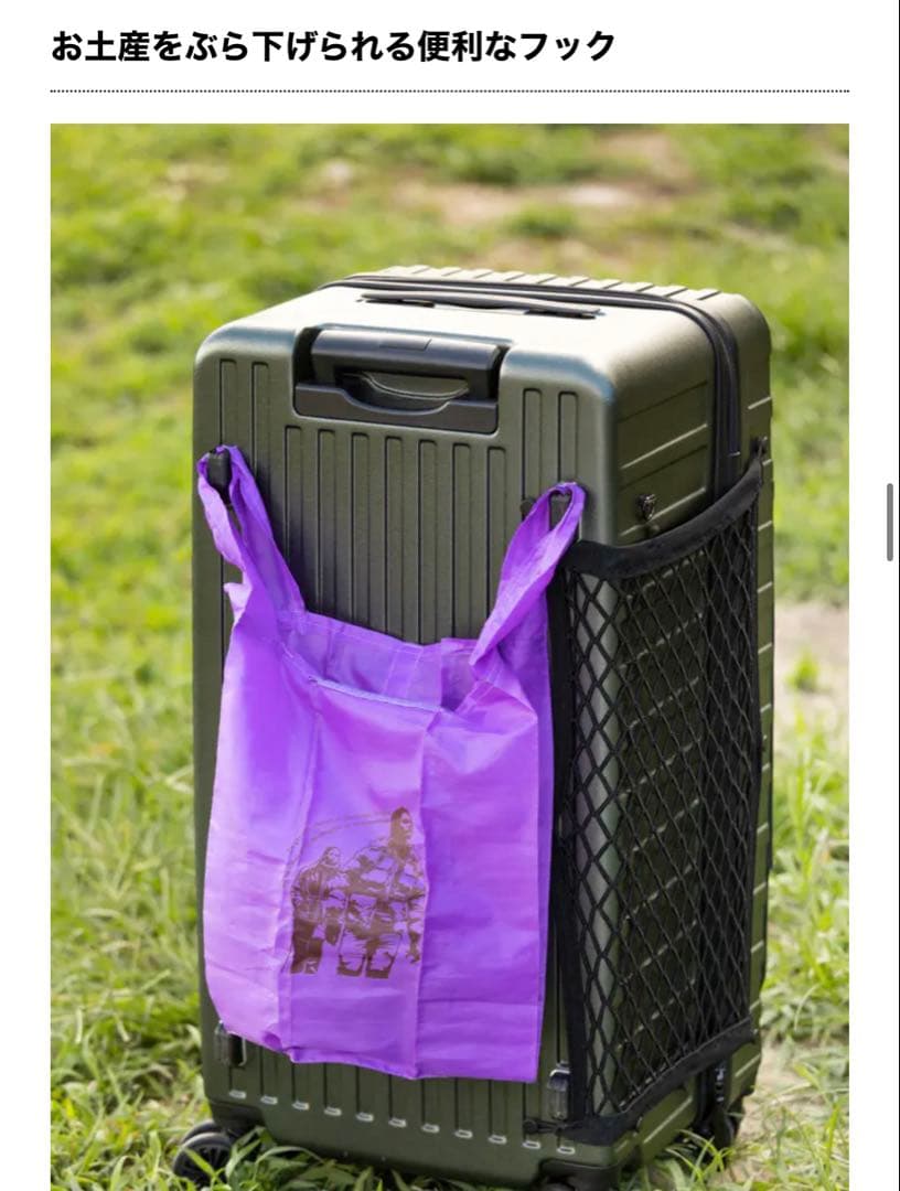 【希少】BE-PAL×greenstage キャンピングキャリー