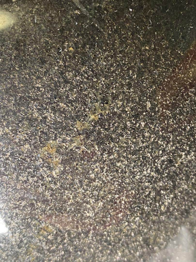 2278❣️黒御影石　招き猫　石像　彫刻　オブジェ