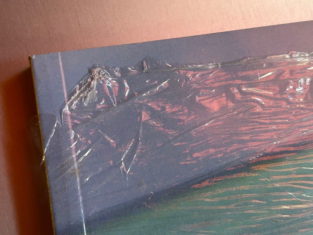 美品　I'm… 成宮寛貴1st写真集　新品