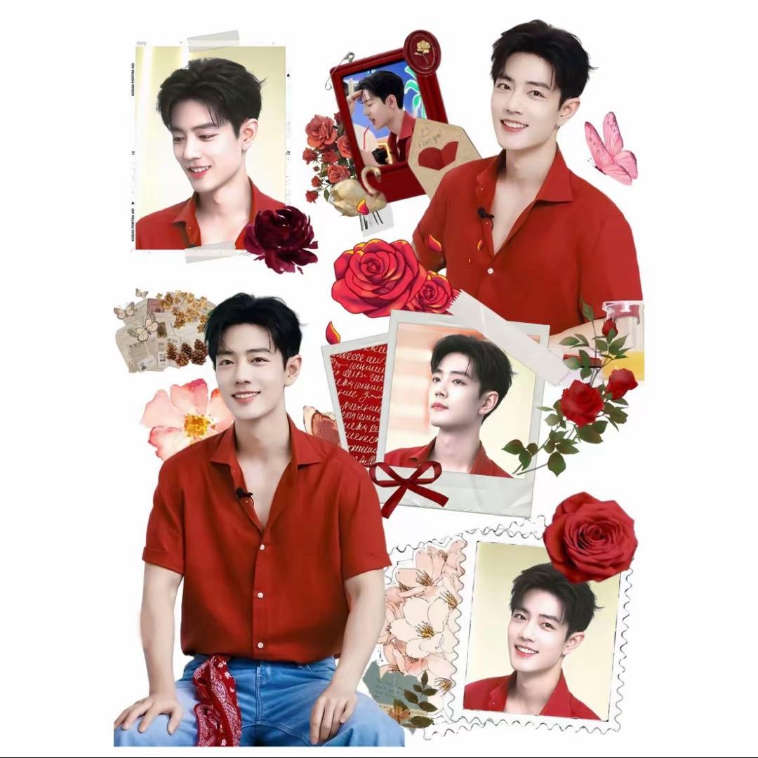 19×25cm 肖戦 デザイン　転写耐油防水ステッカー　30枚