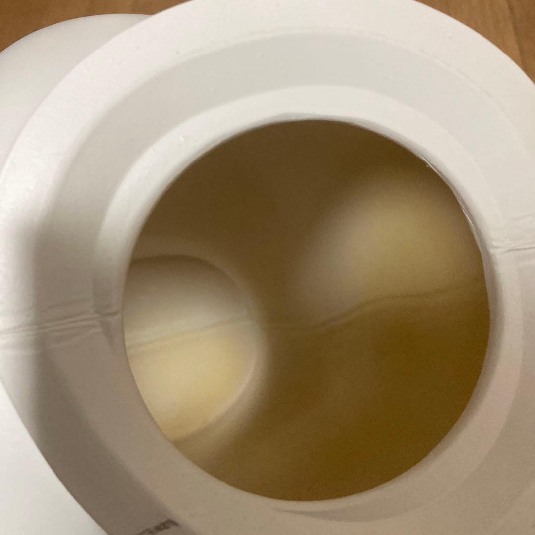 トルソー　下半身　女性用