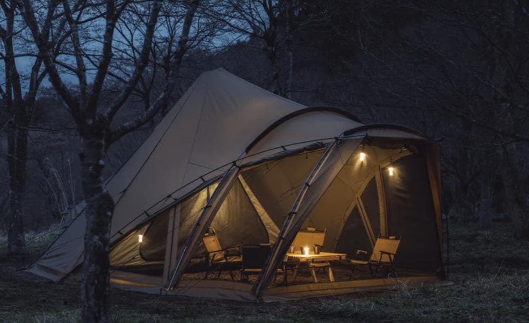 【新品未使用品】ZANE ARTS　LOLO　ゼインアーツ　ロロ（初期ロット）