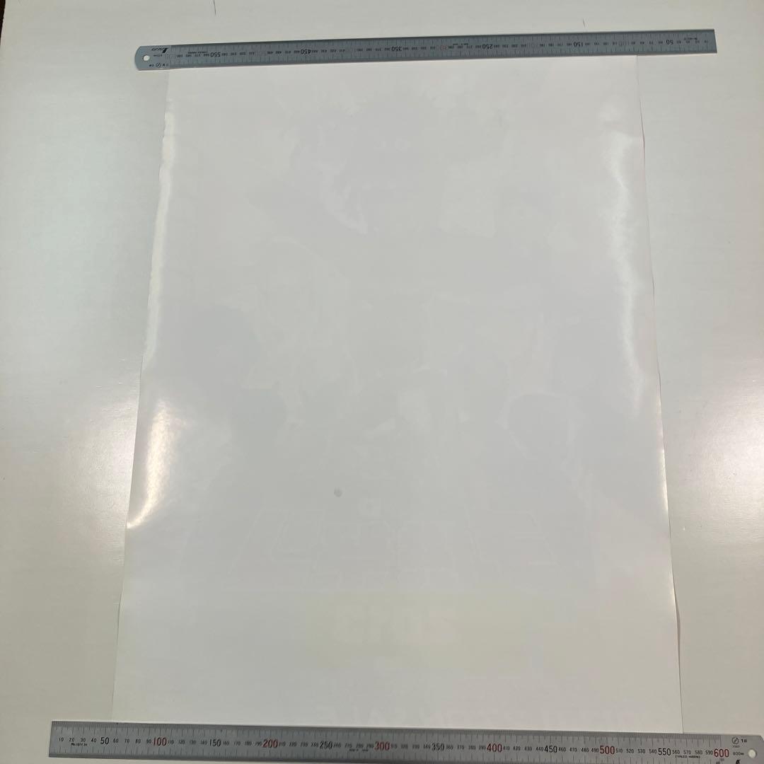 ももクロの子供祭り2013 守れ! みんなの東武動物公園　店頭告知 B2ポスター