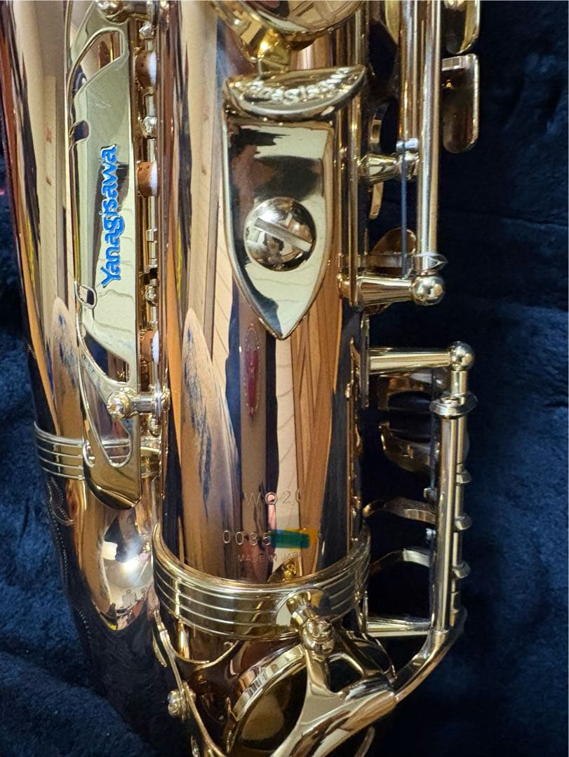 ヤナギサワアルトサツクスWO20 本体