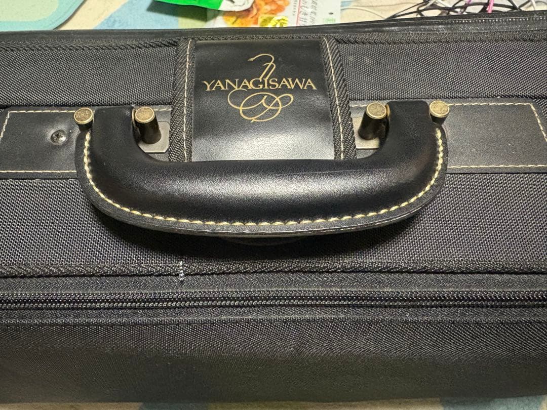 ヤナギサワアルトサツクスWO20 本体