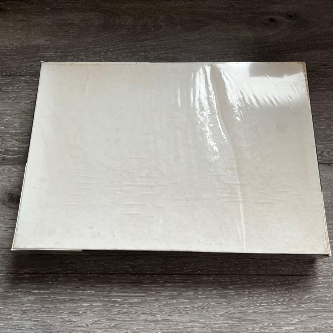 笹倉鉄平　ノーザンスターアトラス　1000ピース　光るパズル