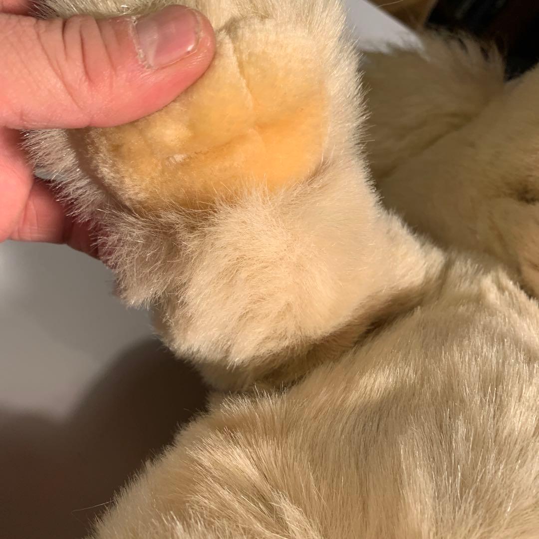 playtalkin プレイトーキン　24K 5658 RUSSEL