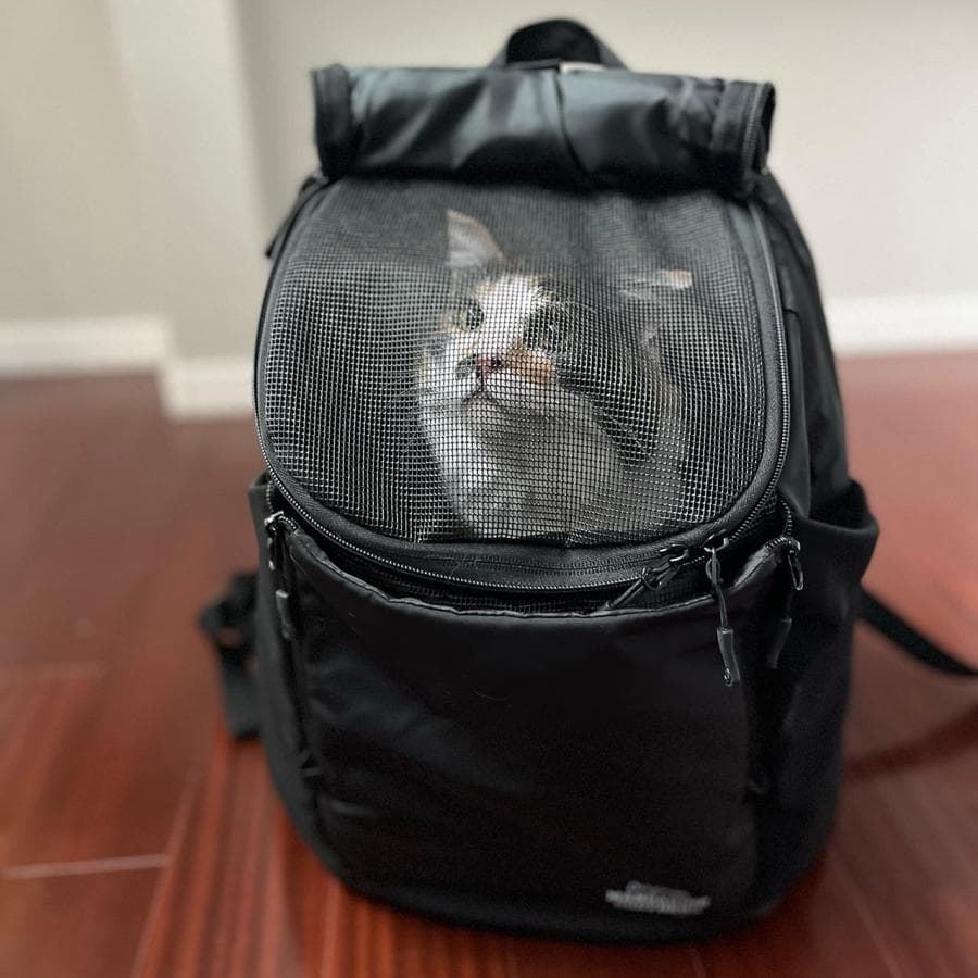 マンダリンブラザーズ　ウィンストンハグバッグラージ　ブラック