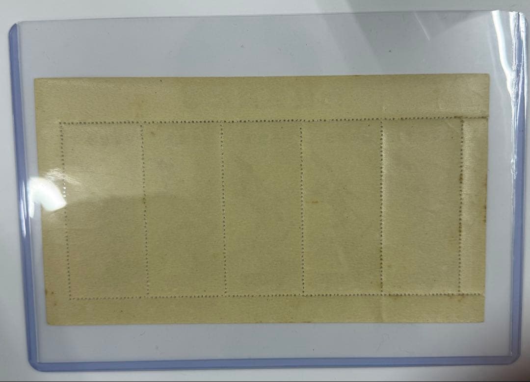 コレクション Toshi