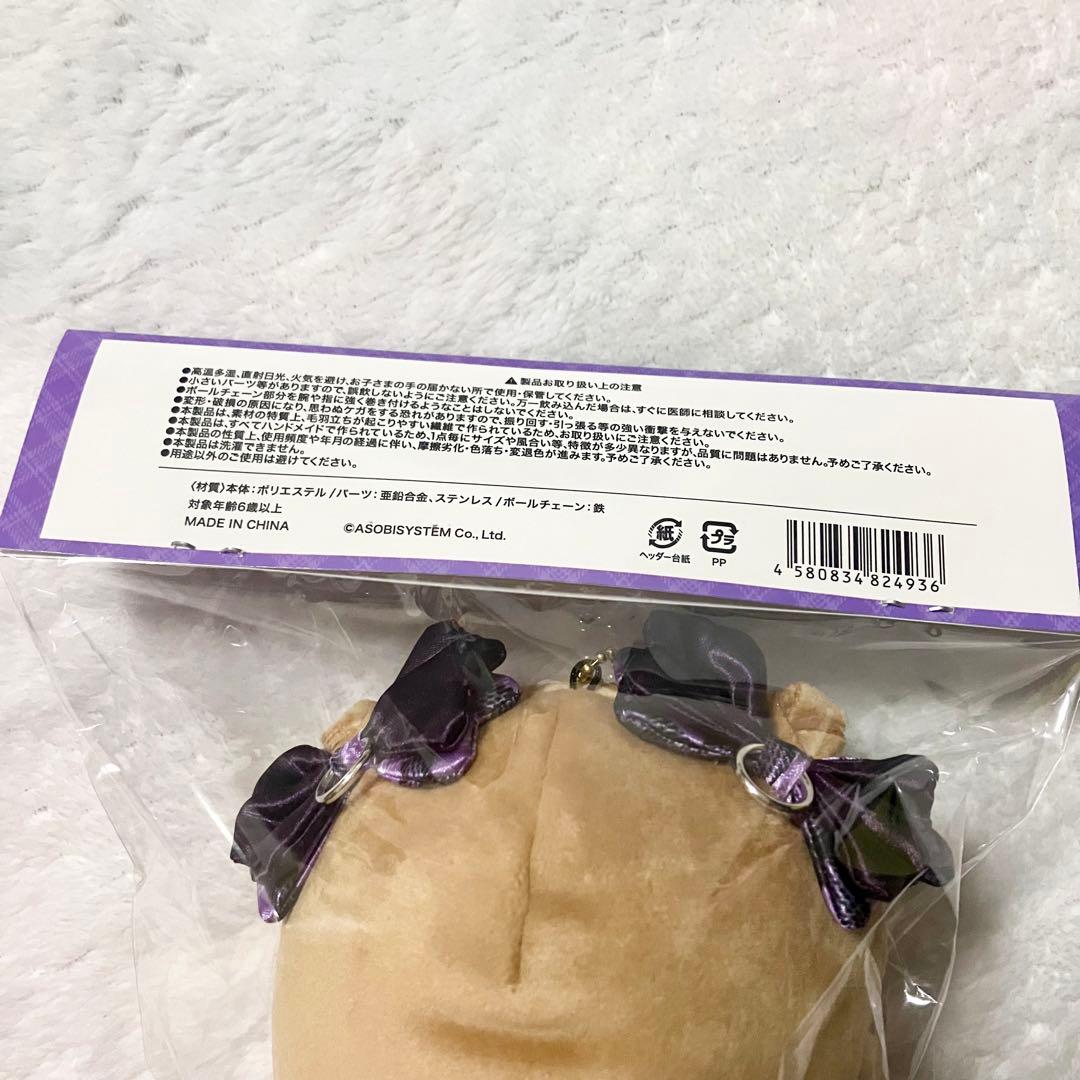 本日限定仲川瑠夏セット FRUITSZIPPER かわぬい チェキファイル