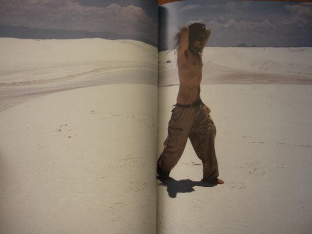 Free for All　Shingo Wakagi　若木信吾