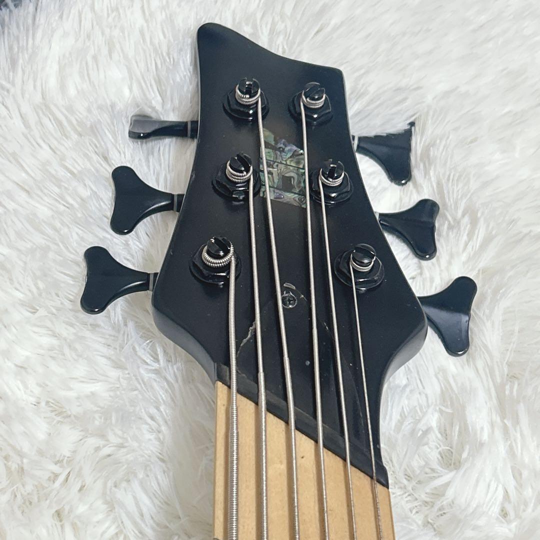 希少　6弦ベース　ベース　6弦 iyv オーダー　カスタム