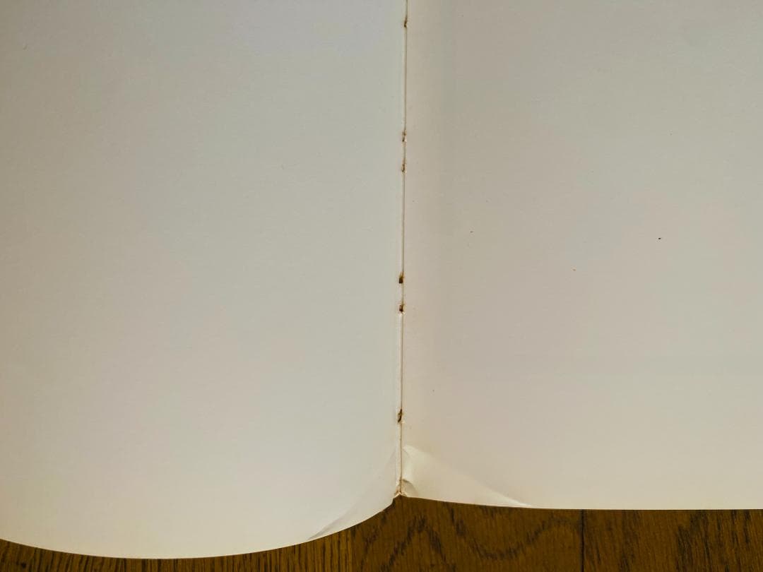 リチャード・アヴェドン「Portraits 」1976年　直筆サイン入り