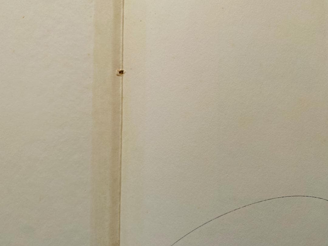 リチャード・アヴェドン「Portraits 」1976年　直筆サイン入り