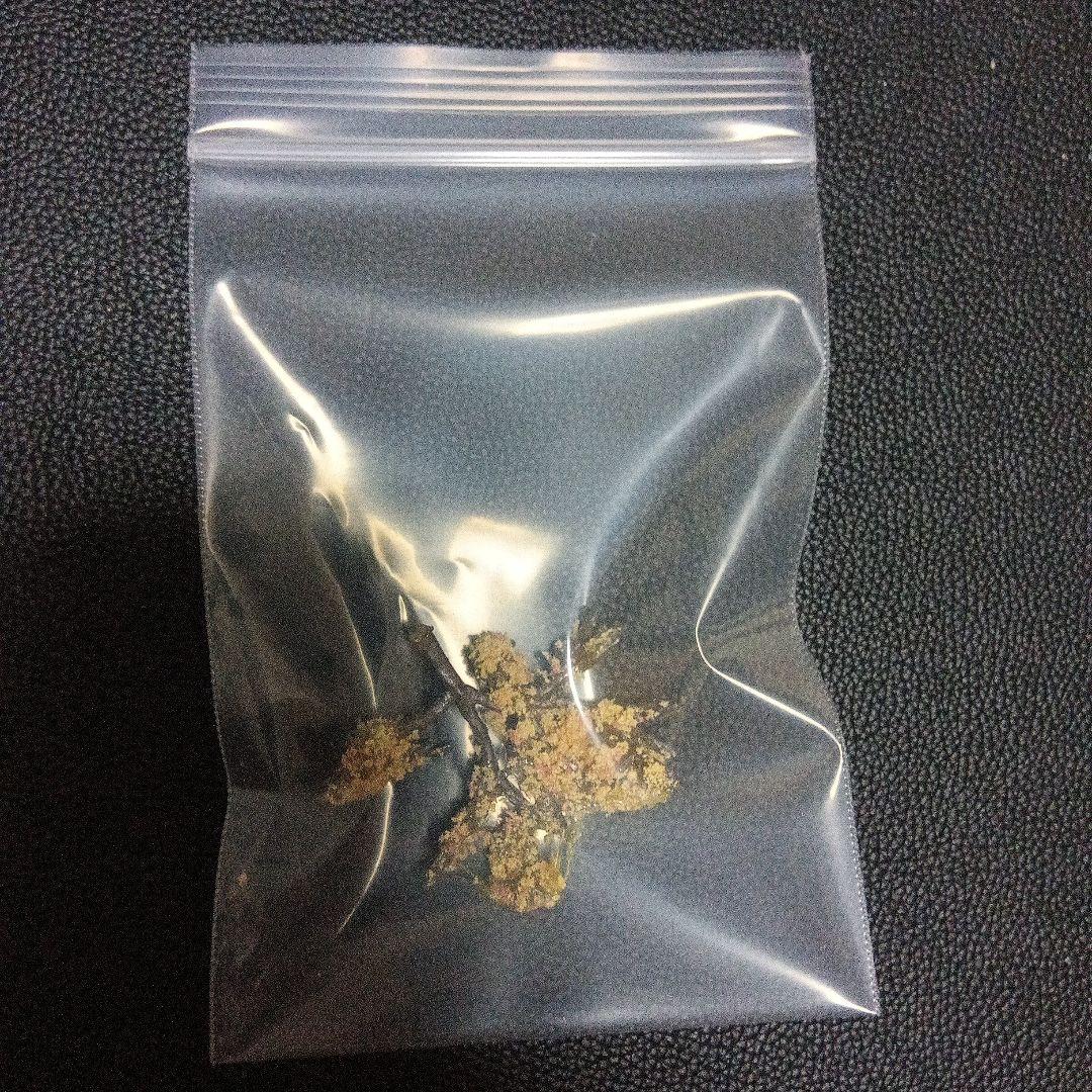 TOMIX 昭和の鉄道模型 N-401 ジオラマNゲージ