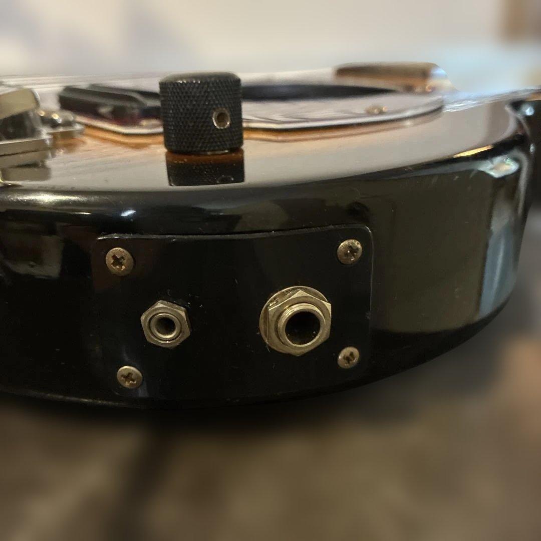 ピグノーズPGG100 サンバースト