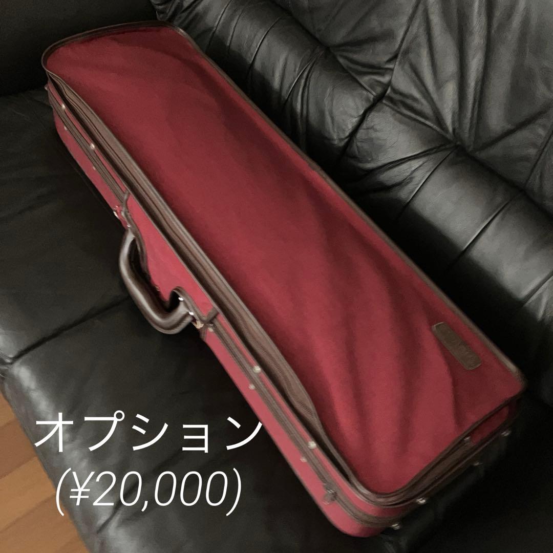 バイオリン本体(メンテナンス済み)