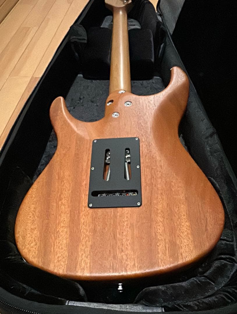 【極美品】Mayones Aquila 6 3Tone Sunburst 入手難