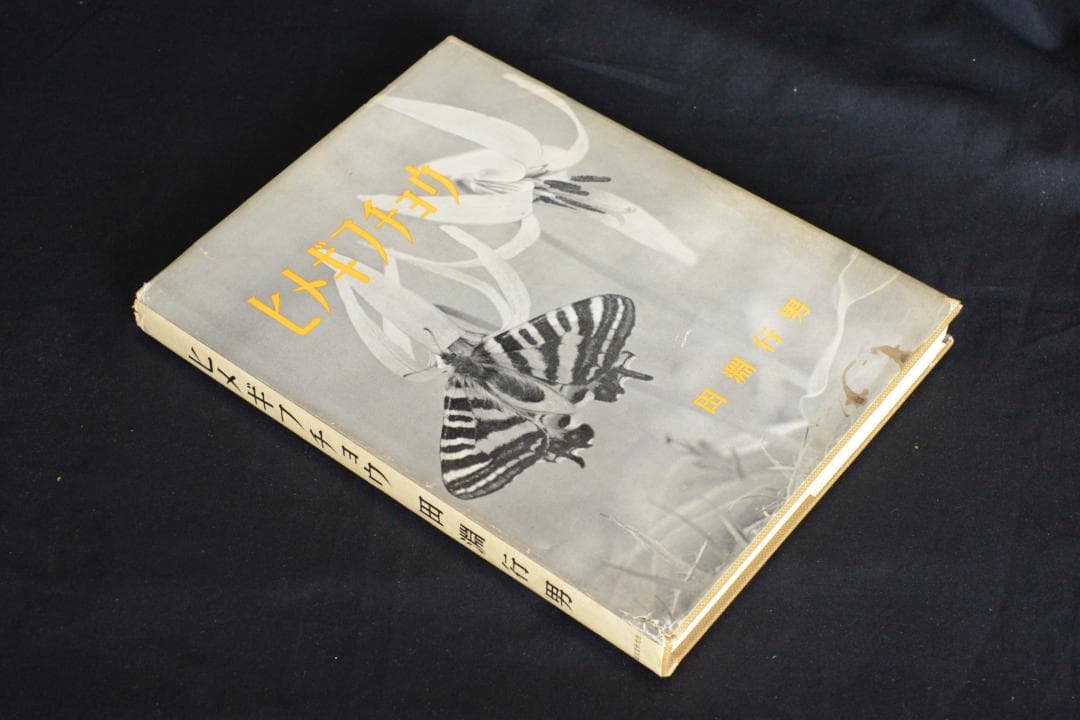 【ヒメギフチョウ】田淵行男　1957年初版　　★★大幅に値下げしました