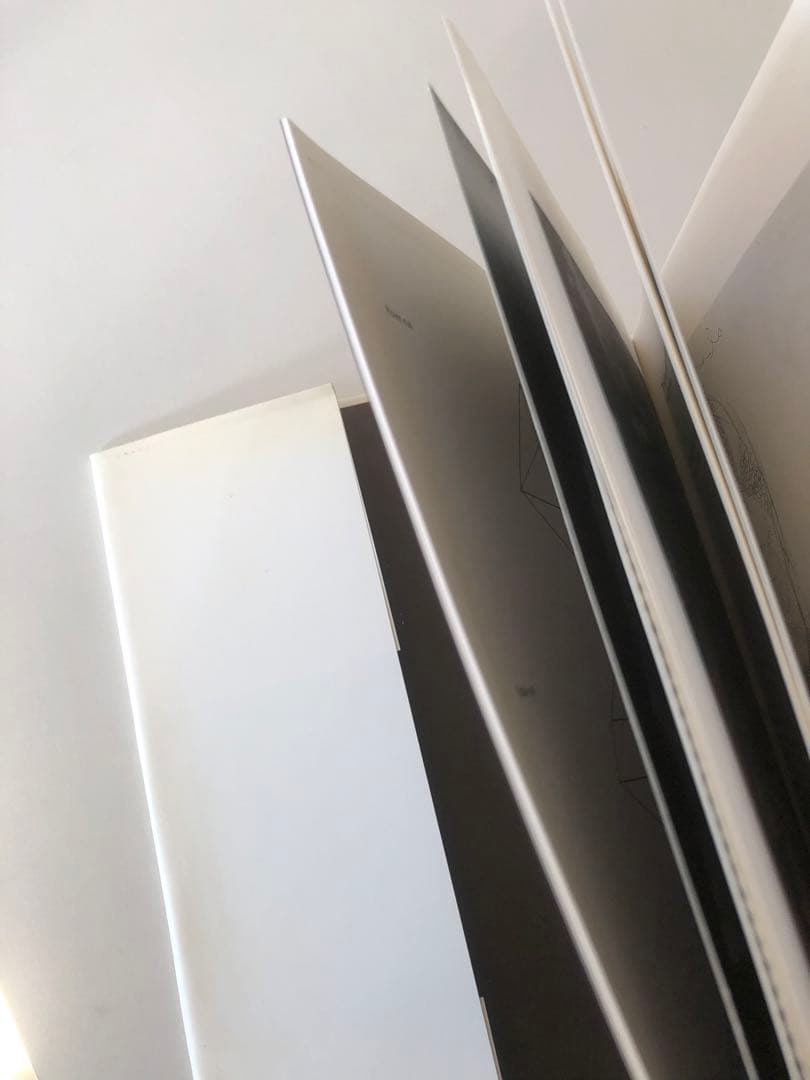 ダミアンハーストThe making of the diamond skull