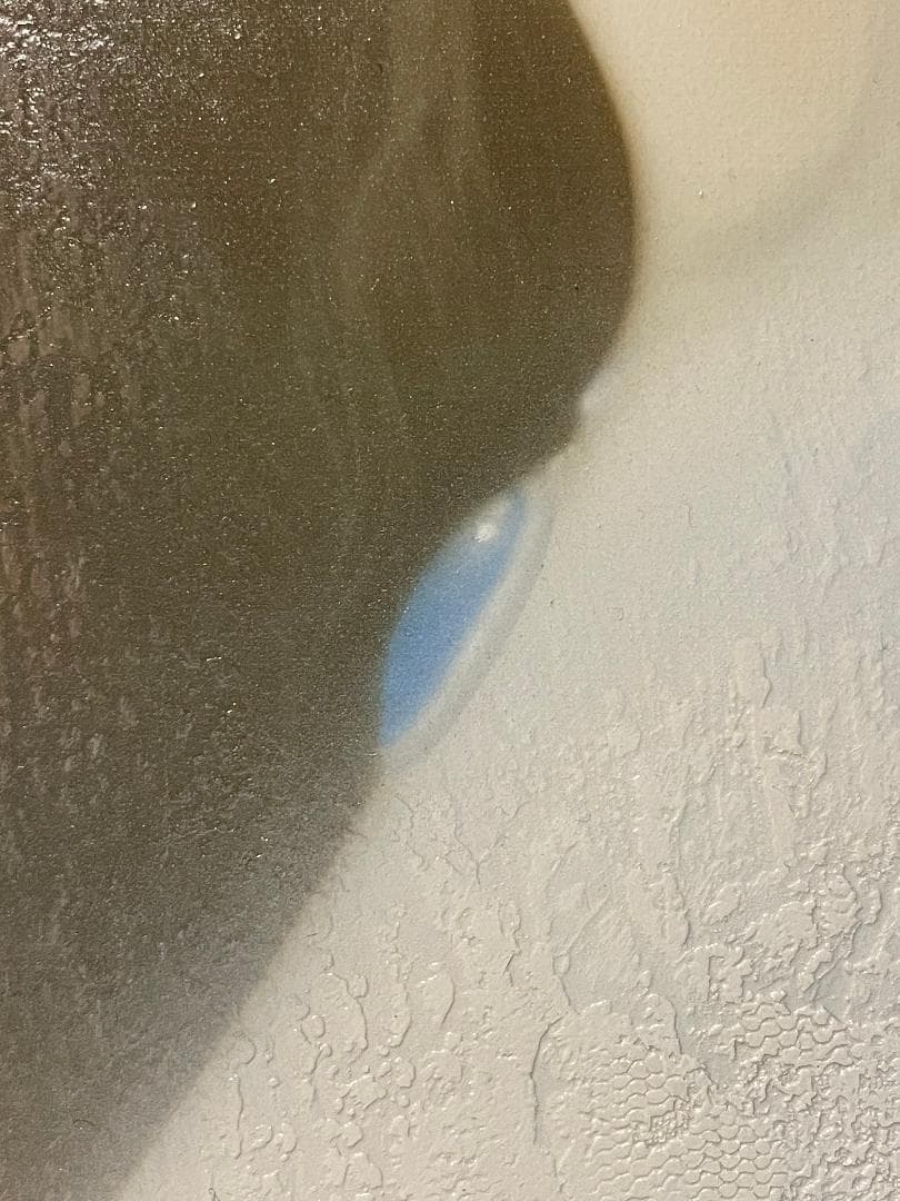 「真作」中原脩「帽子の女」人物画　油彩画　額装　サイン有り　F8号