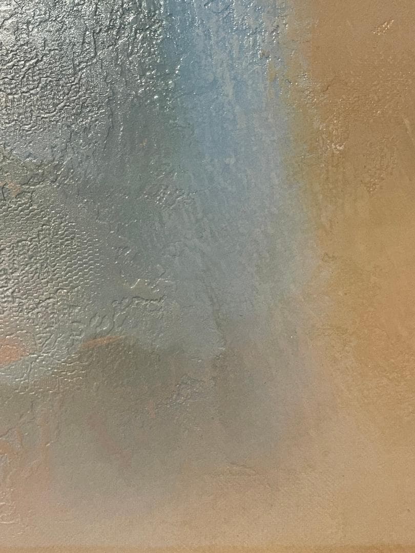 「真作」中原脩「帽子の女」人物画　油彩画　額装　サイン有り　F8号