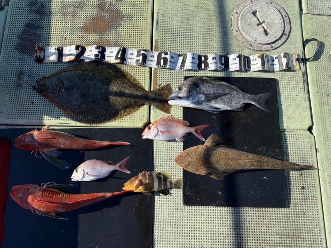 SHIMANO シマノ カルカッタ小船400（PEライン1.2号200m巻済み）