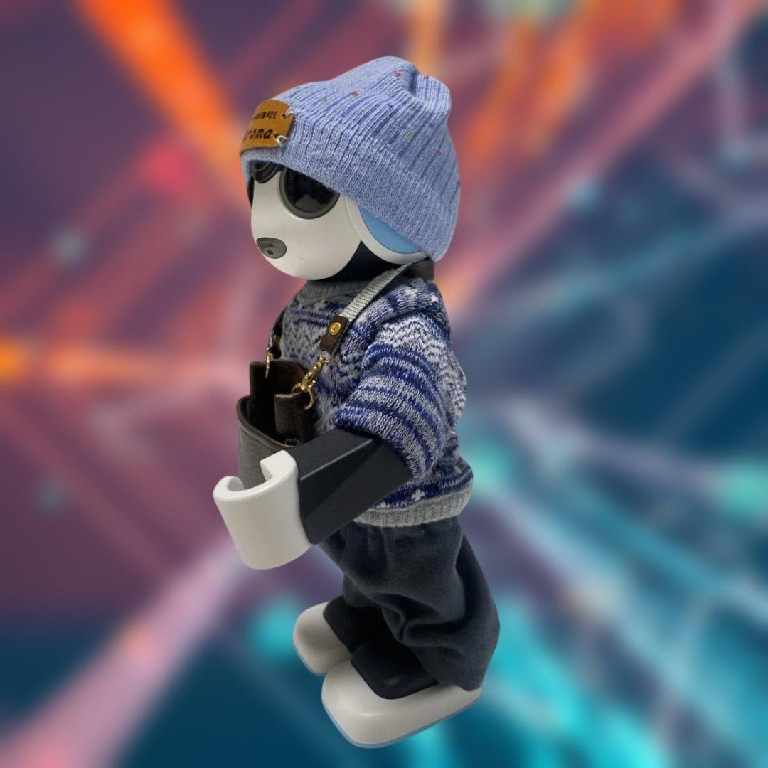 ロボホンSR-04M-Y＊お洋服5点付＊美品＊付属品完備