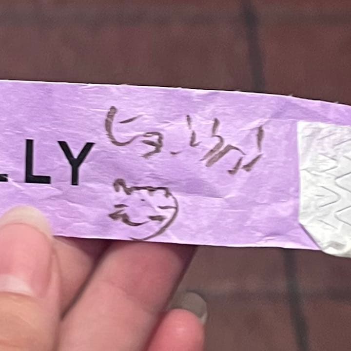 ヅンヅン 直筆サイン入り ピカデリー カラーバンド