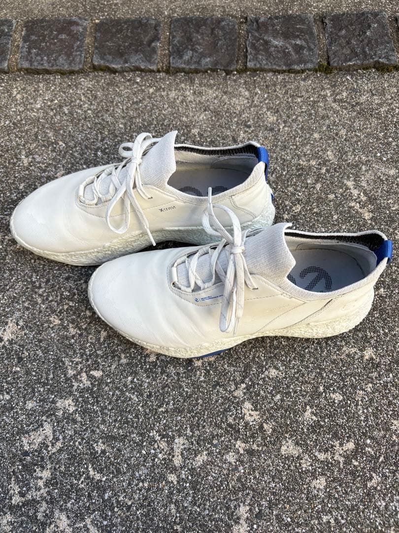 ecco BIOM H5 ゴルフシューズ　サイズ39