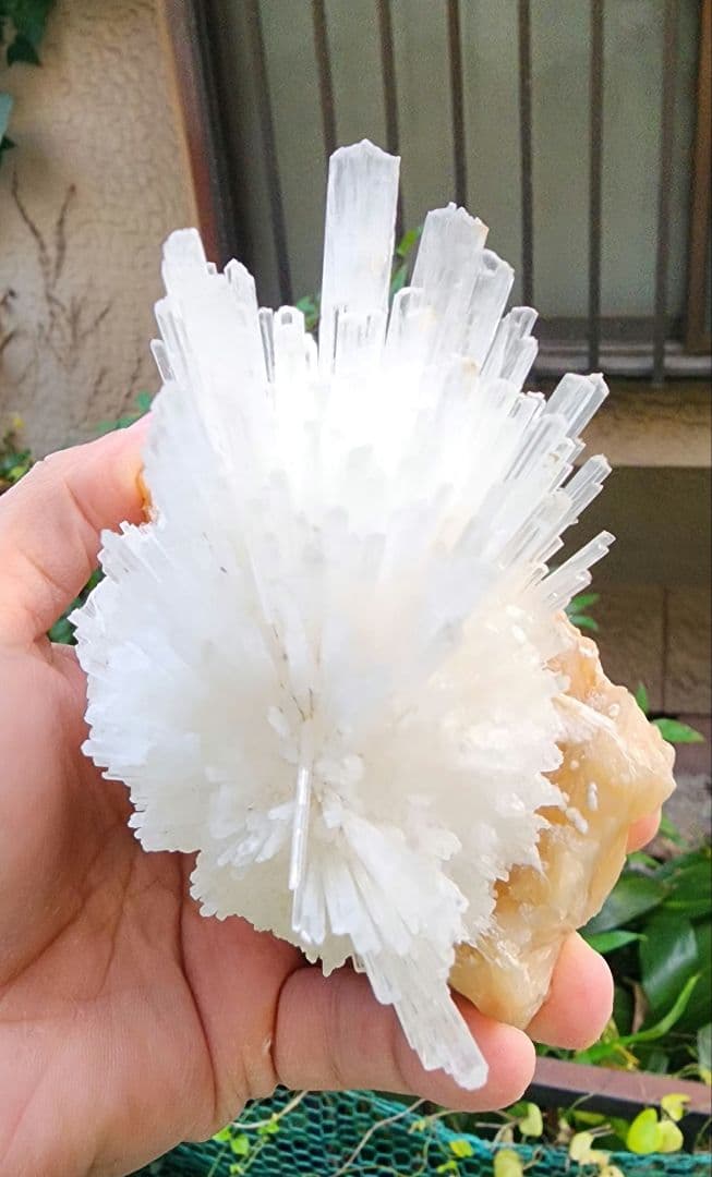 インド産ナトロライト