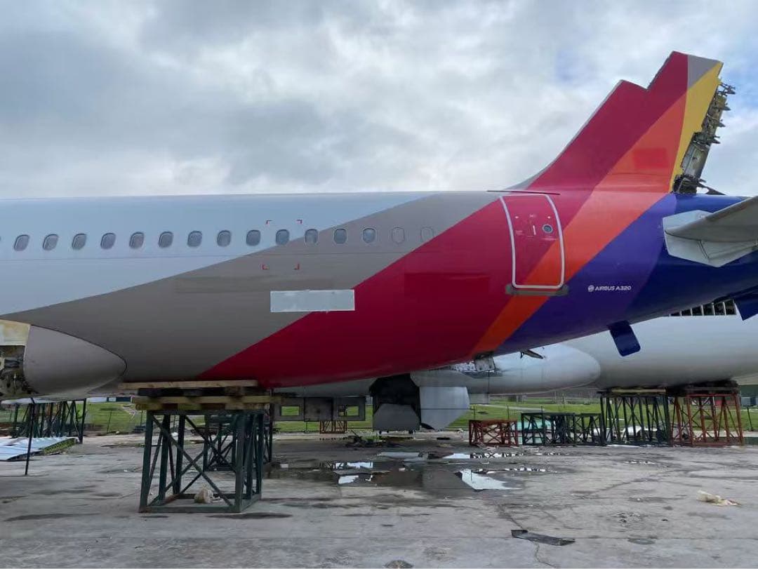 OZ A320-233 アシアナ航空 Airlinertags コンビ色