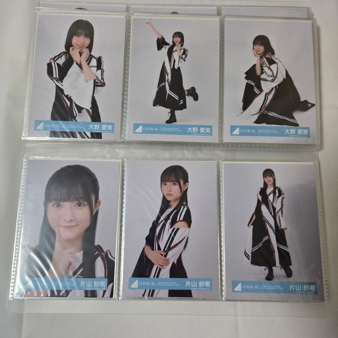 日向坂46 生写真 フルコンプ OVER THE RAINBOW ライブ衣装