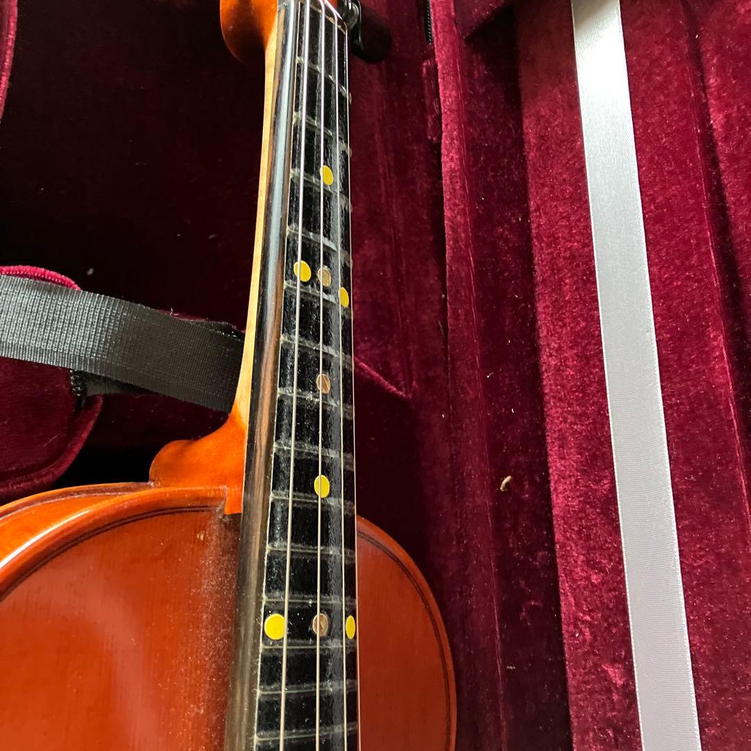 カルロジョルダーノ VS-3　フレット バイオリン4/4 虎目一枚板 一式セット