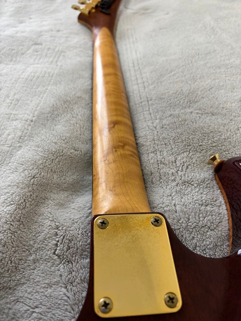 PARM BAY分厚いフレイムメイプルのギター