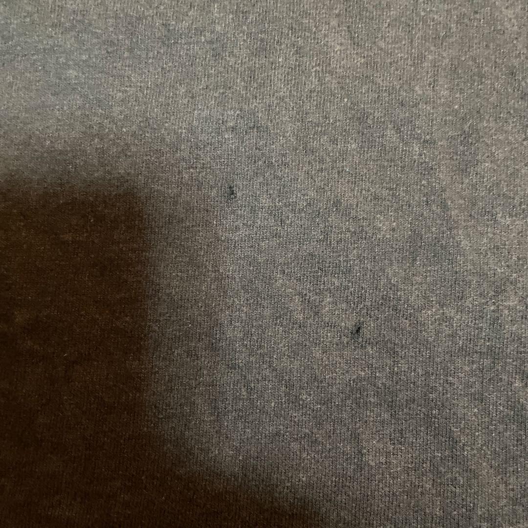 90’sビンテージ ROLLISBAND ロリンズバンド　Tシャツ正規品