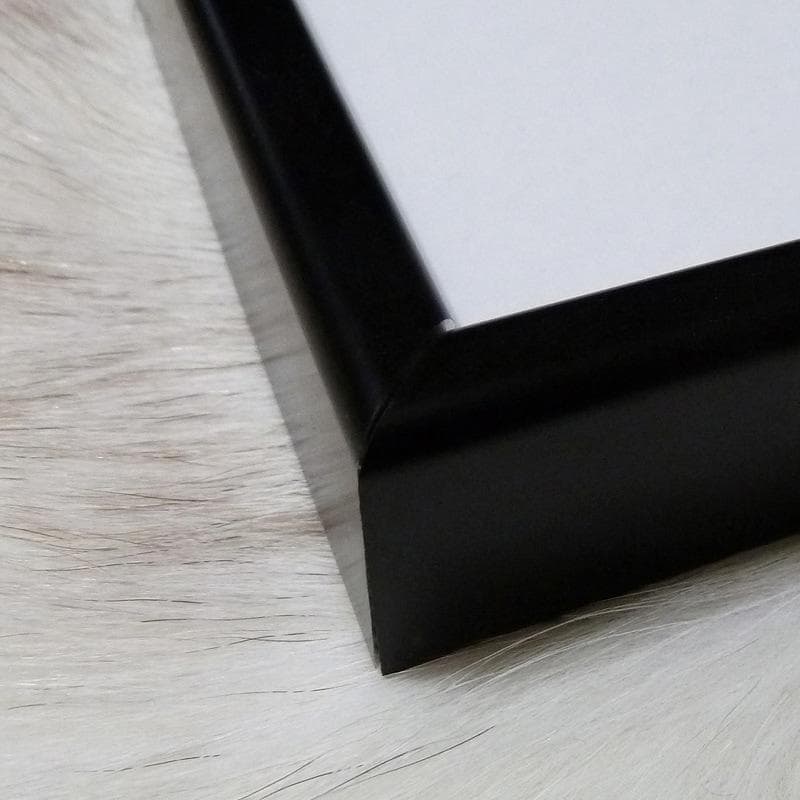 額装済作品/森山大道/Untitled Tokyo 2017/インテリア/アート