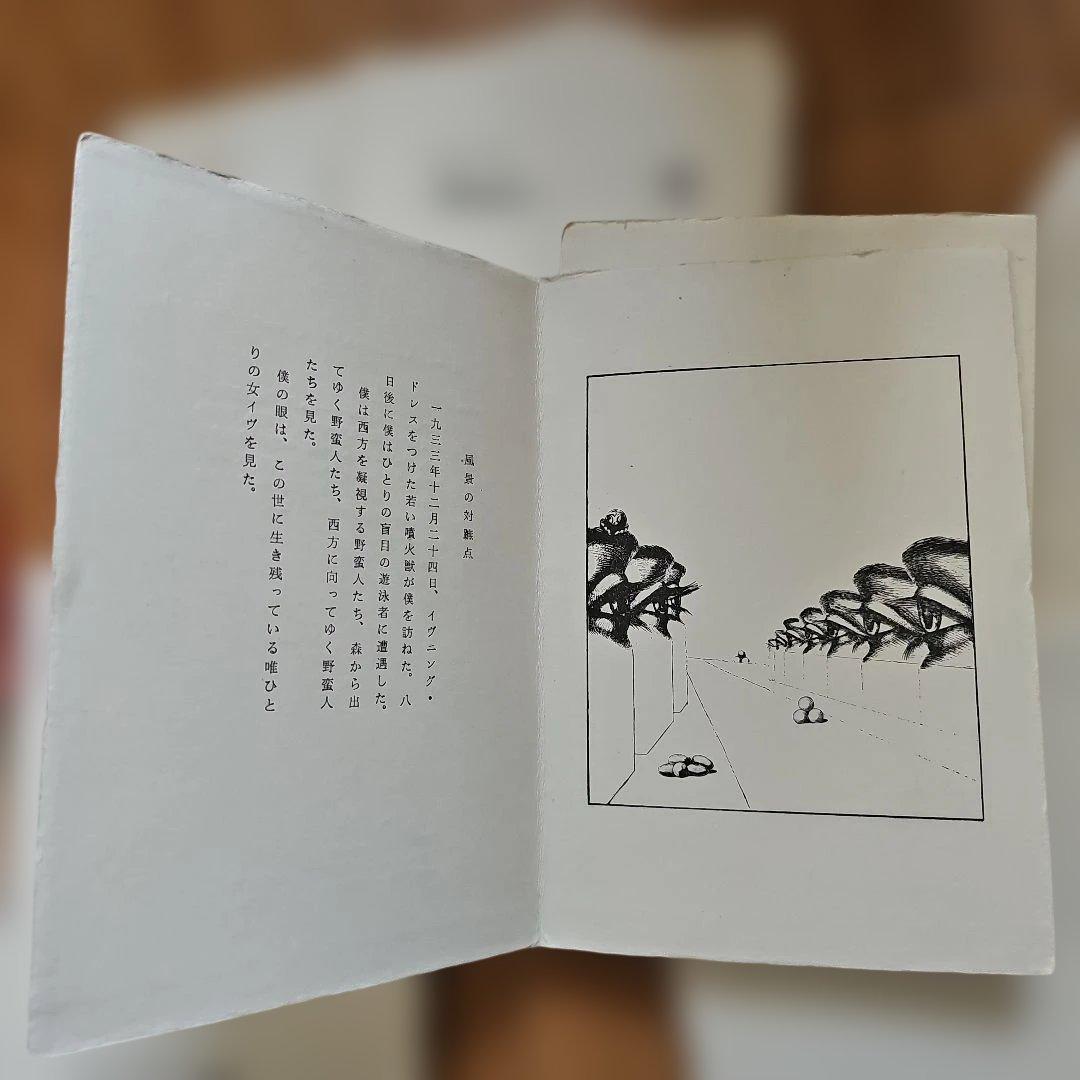 コレクション[オパール]20輯揃い 限定175部 詩と絵画コレクション 夫婦箱