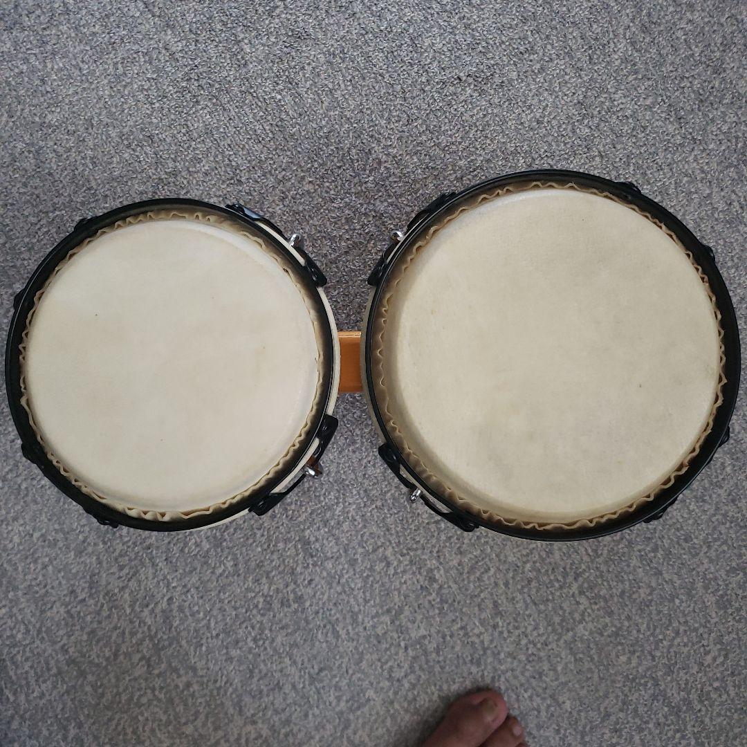 ボンゴ　　小さいほうが直径16.5センチ