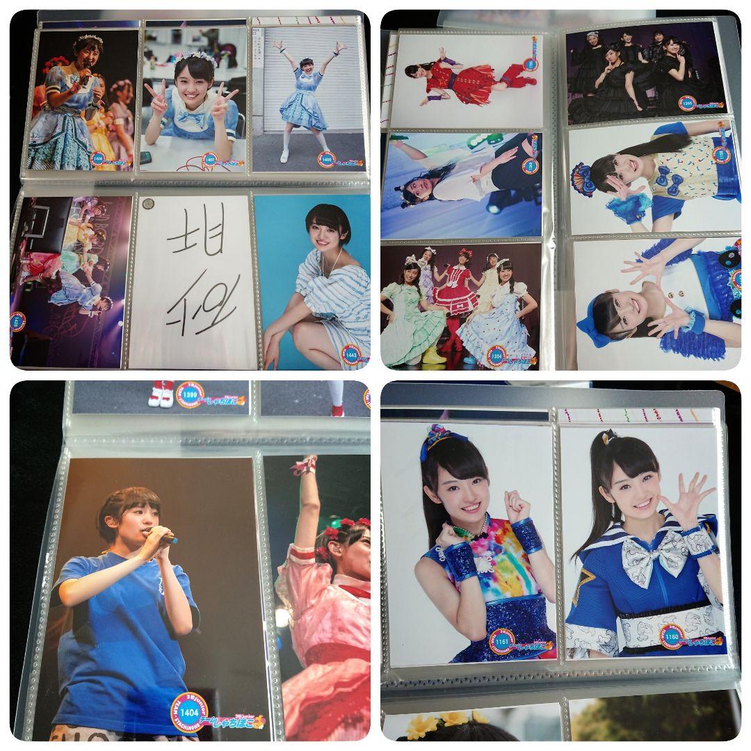 チームしゃちほこ TEAM SHACHI 咲良菜緒 生写真