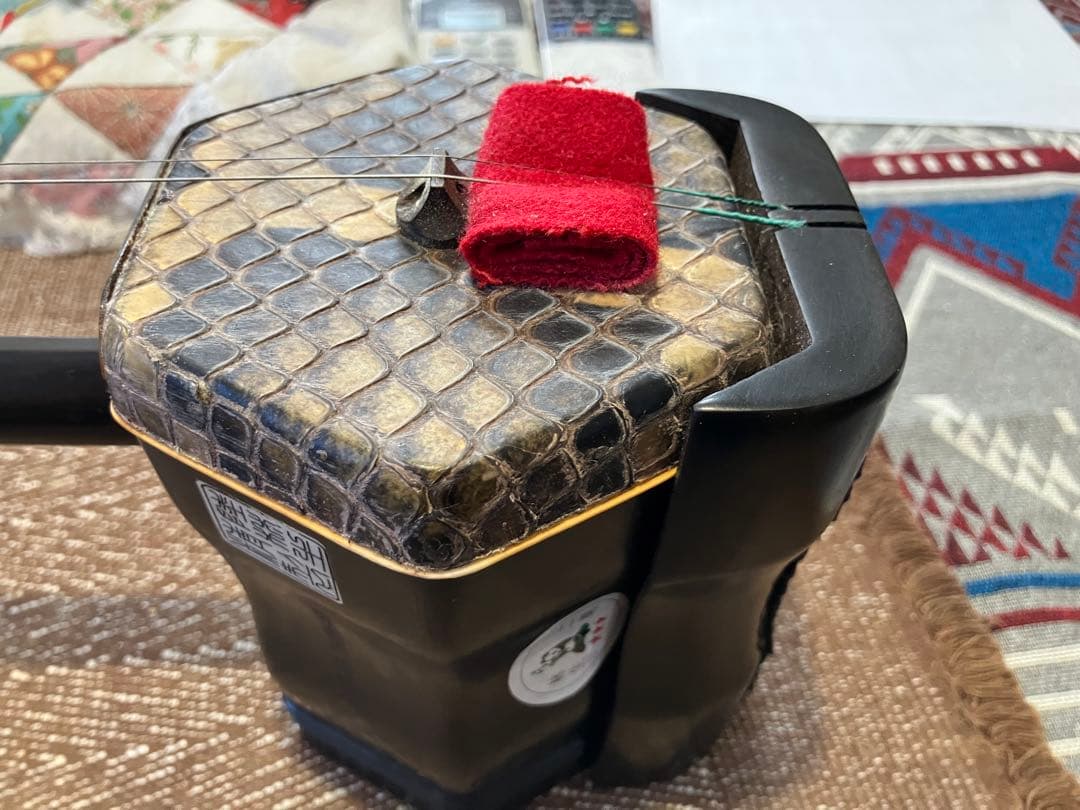 中国二胡（林生）