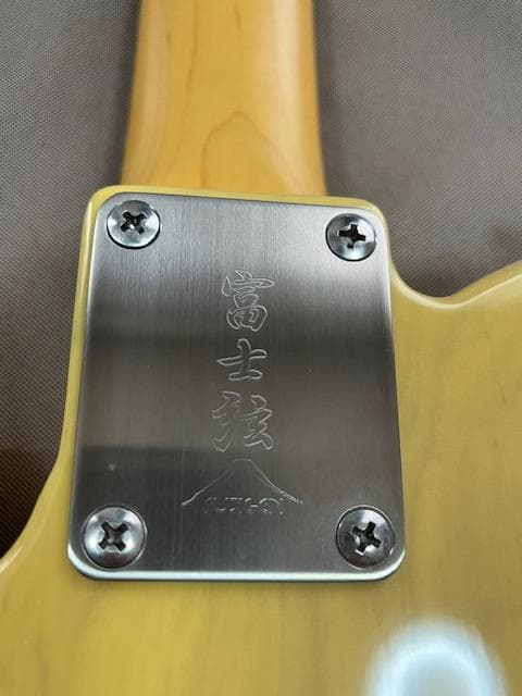 FUJIGEN NTE10M AH /OWB テレキャスター 超美品