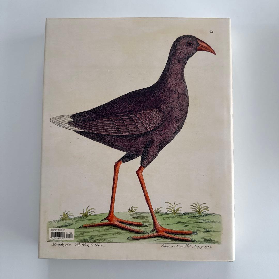 【最終お値下げ10/5本日までの特価です】ジョンデリアン ピクチャーブックII