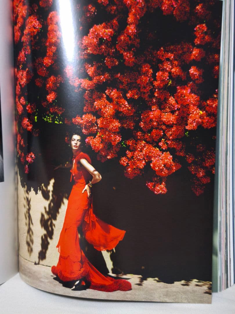 MARIO TESTINO IN YOUR FACE 洋書